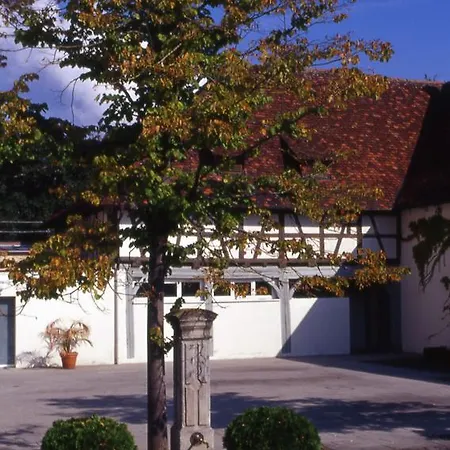 Hotel Markgraeflich Badischer Schwanen